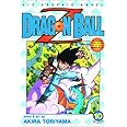 Dragon Ball Z, Volume 10