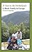 A Year in the Netherlands: A Black Family in Europe by Lorene Kwapong