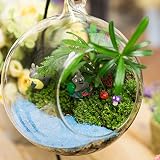 YaRich 20g Micro Landscape Decoration Blue Sands Garden DIY Decor