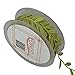 Fowod Leaf Ribbon, 17 Yard / 50 Feet Roll, 1 inch Width, Green