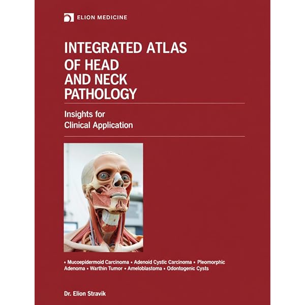 Amazon.com: Atlas of Vascular Anatomy: An Angiographic Approach