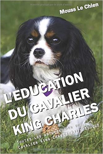Leducation Du Cavalier King Charles Toutes Les Astuces