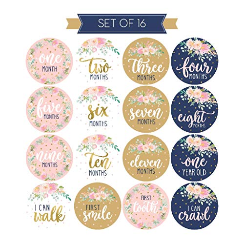 1 Milestone+Stickers+Monthly+Scrapbook+Registry