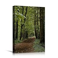 Canvas Wall Art Green Forest Dramatic Forest Landscape Living Room Multicolor Photography Rustic - 12x18 inches