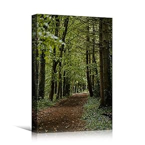 signwin Canvas Wall Art Green Forest Dramatic Forest...