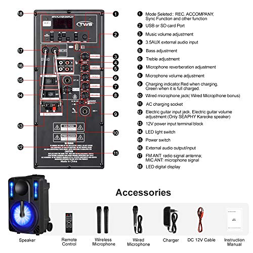 Karaoke Machine for Kids & Adults, SEAPHY DJ Lights 10'' Woofer BT Connectivity Rechargeable PA System-Audio Recording, Remote/2 Wireless/1 Wired Microphone