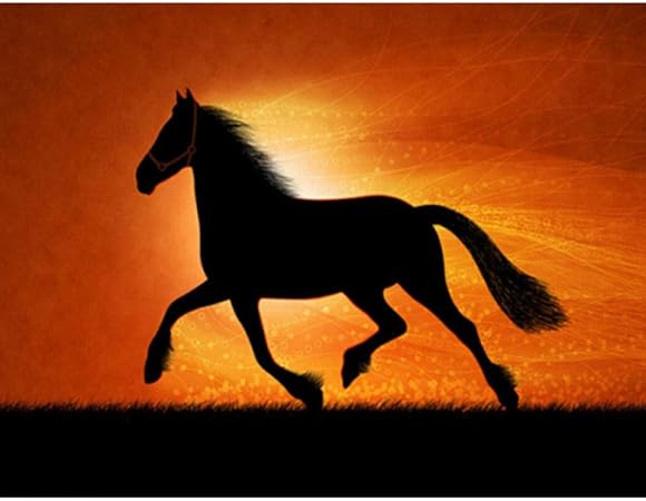 Come Disegnare Scenari Del Tramonto Con Pastelli Ad Olio 41 Fenicottero Youtube