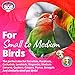 Super Bird SB1088 Birdie Bouquet Bird Toy, Small/Medium Bird Size, 6″ x 3″ x 2″thumb 1