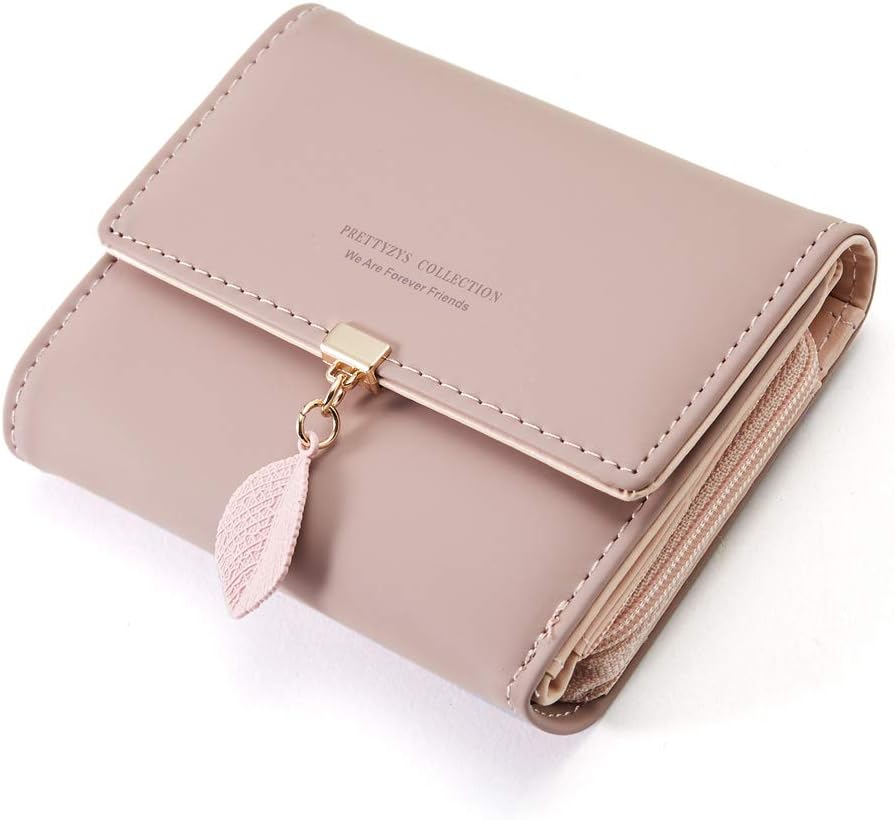 small clear coin purse