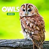 Owls Calendar - Calendars 2019 - 2020 Wall Calendar - Photo Calendar - 12 Month Calendar by Presco G by 