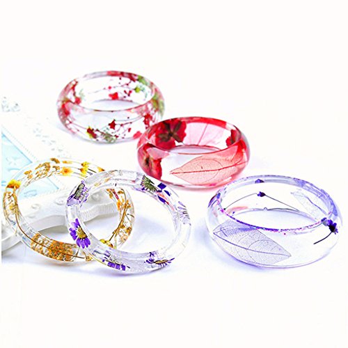 image for MonkeyJack 10 Pieces 1- 2cm Mini Pressed Dried Ammi majus Flower For R