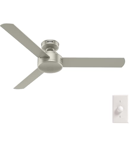 Amazon.com: Hunter 59262 Ventilador de techo Cassius plateado mate