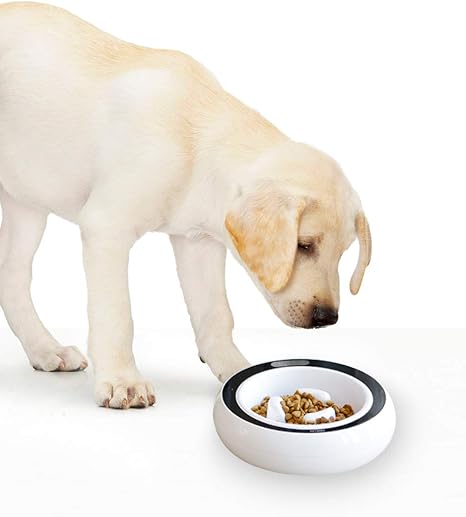 Pet Supplies Petgeek Digital Dog Bowl Scale Slow Bowl Feeder