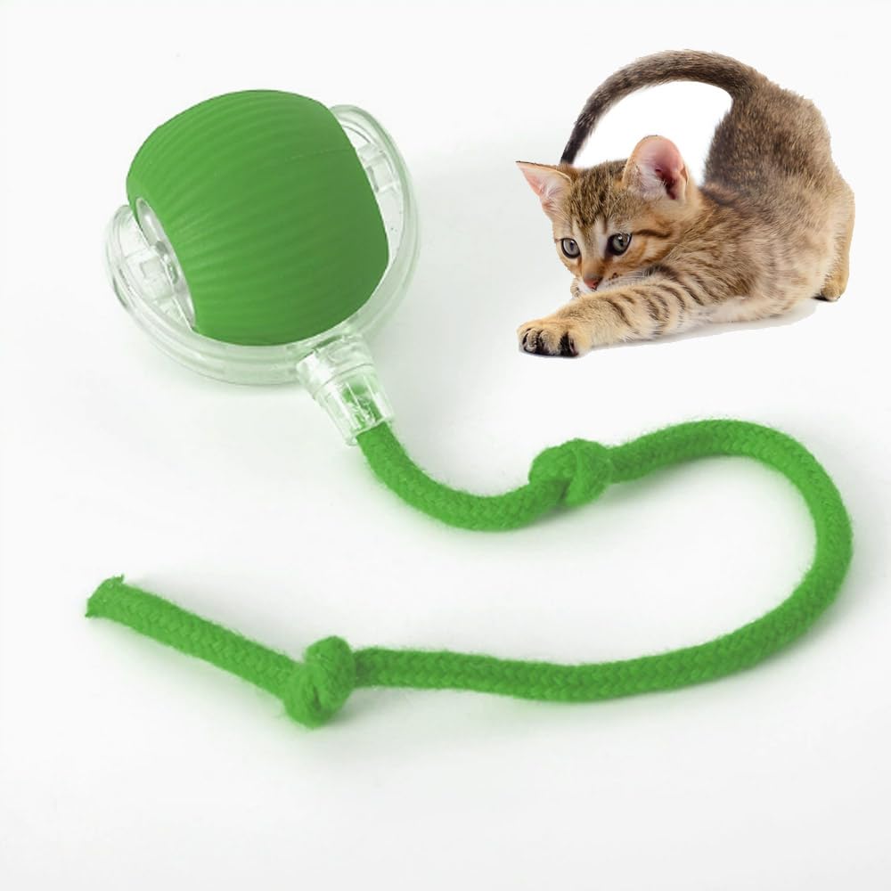 JOYOUTH 猫 おもちゃ 自動 猫 ボール USB充電式 LEDライト搭載 光る光る 360°自動回転 3モード搭載 電動おもちゃ 球体自動猫じゃらし ペットおもちゃ 猫 玩具 電気自動ボールおもちゃ 一人遊び お留守番に ストレス解消 発散 運動不足解消 狩猟本能刺激 ねこ ネコ 充電ケーブル付き (グリーン) の商品画像