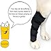 WSGEE Dog Canine Rear Leg Knee Brace Hock Joint Arthritis Wrap for Heals Prevents Injuries Sprains Helps with Loss of Stability