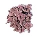 Dusty Rose Reindeer Moss Preserved Floral Moss for Fairy Gardens, Terrariums, or Any Craft or Floral Project (Dusty Rose)