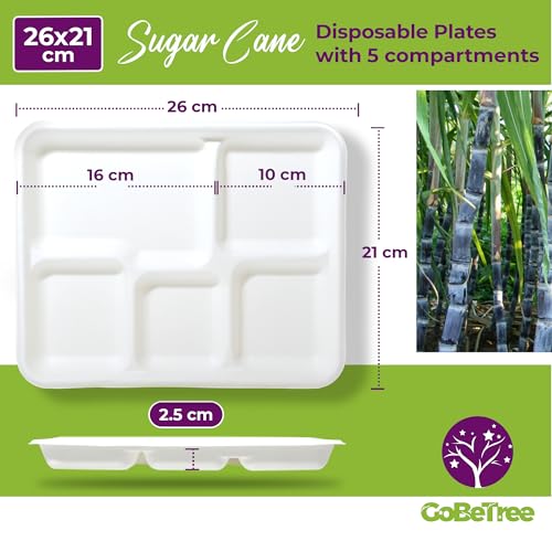 GoBeTree 100 x 26cm Disposable Plates with 5 Compartments Sugarcane Plates Heavy Duty Disposable Tableware White