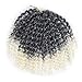 MODERN QUEEN 8 Inch Short Passion Twist Crochet Hair - 9 Bundles Marlybob Kinky Curly Crochet Hair for Black Women and Kids - Water Wave Crochet Braids
