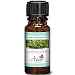 Wintergreen Essential Oil - 100% Pure Blue Diamond Therapeutic Grade By Avíanō Botanicals (10 ml)