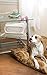Hamilton Beach 04383 Air Purifier, White