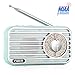 Retro Radio, Vintage Bluetooth Speaker, Portable AM FM Weather Radio with Best Reception, Rechargeable Battery, Headphone Jack, USB/TF/AUX Player, Loud Volume for Home, Office, Kitchen (Blue)
