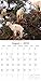 2018 Goats in Trees Calendar - 12 x 12 Wall Calendar - With 210 Calendar Stickers