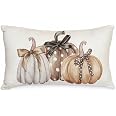 AACORS Fall Decor Pillow Cover - 18x18 Inch Pumpkin & Leaves Print For Sofa, Thanksgiving Home Decor