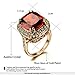 Yoursfs Lion Rings For Men Pinky Rings Platinum Plated Signet Ring Sliver