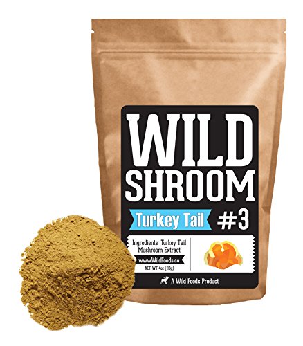 Turkey Tail Mushroom Extract by Wild Foods - Trametes Versicolor - 10:1 Water-Extracted Fruiting Bodies Only - No Grain/Mycelium - Nootropic Powder (2 ounce)