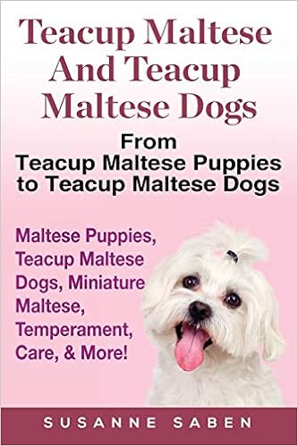 teacup maltese dog price