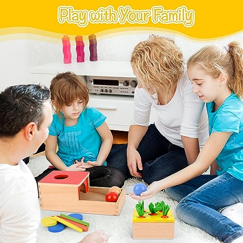 Comius Sharp 4 in 1 Wooden Montessori Toys - Coin Box, Carrot Collection, Sticks for Color Matching and Motor
