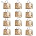 Gesodant Glossy Bling Reusable Grocery Bag Tote Bag With Handle,Non-woven Fashionable Present Bag Gift Bag,Goodies Bag Shopping Bag,Promotional Bag,Totes,Bulk Bags Set Of 12 - Gold