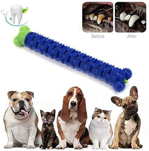 amazon dog toothpaste