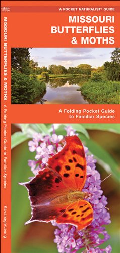 Missouri Butterflies & Moths: A Folding Pocket Guide to Familiar Species (Pocket Naturalist Guide Series)