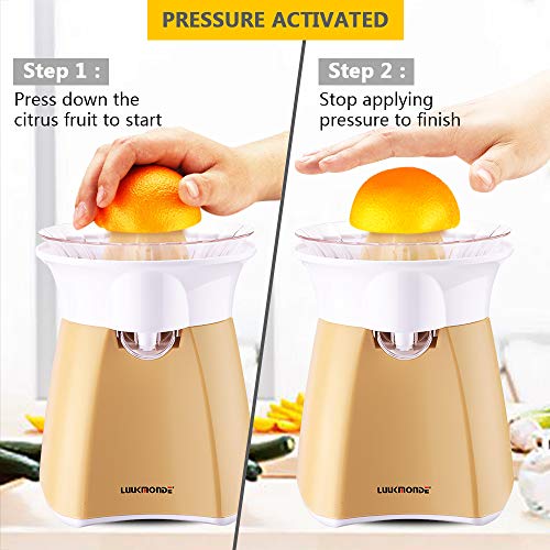 Electric Citrus Juicer with automatic flowing spout Orange squeezer