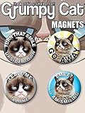 Ata-Boy Grumpy Cat Set of 4 1.25
