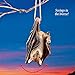 Collections Etc Halloween Hanging Swinging Bat with Realistic Details