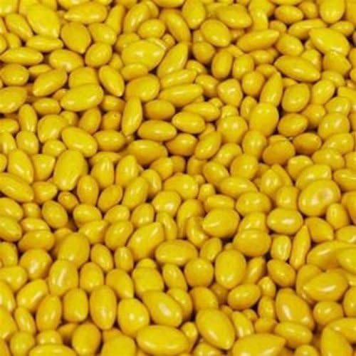 Yellow Sunbursts Chocolate Covered Sunflower Seeds 5LB Bag by Kimmie Candy Company