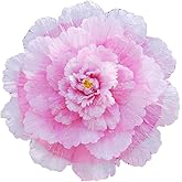 Colorful Peony Umbrella Adult Dance Performance Props Admission To The Sports MeetPhotography Props Interior Decoration