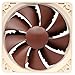 Noctua NF-P12 PWM, Premium Quiet Fan, 4-Pin (120mm, Brown)