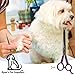Ryans Pet Supplies Professional Dog Grooming Scissors from, Two Pairs Stainless Steel Scissor Kit, Thinning Shears for Dogs & Pets, 1X Straight Shear for Body & 1X Curved Shear for Face & Paws