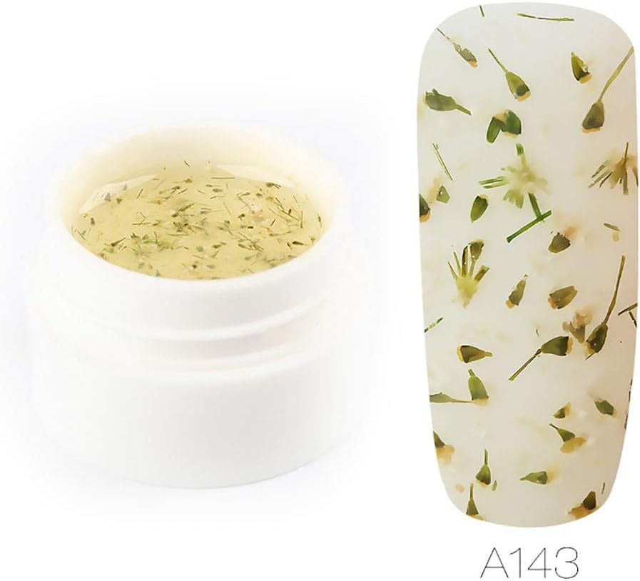 JYS Dry Flower Soak-off UV Gel Polish - Nail Art Accessories Dry Dried Flowers Multicolor - Dry Model Gum Transparent Gum Fairy Series Nail Polish Nail Art Decoration