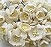 RATREE SHOP 50 Pcs Cherry Blossom Ivory Mulberry Paper Flower 25 mm Scrapbooking Wedding Doll House Supplies Card Project, Products From Thailand.