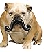 Moody Pet Humunga Stache Mini Dog Toy for Small Dogs