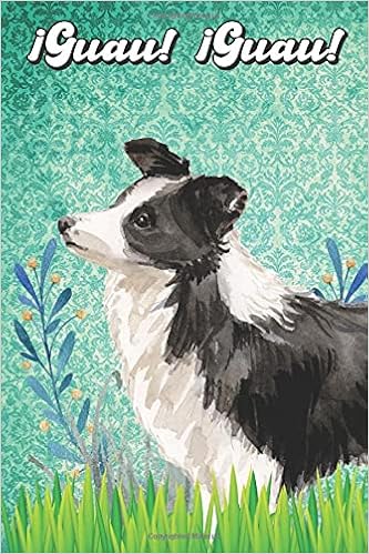 amazon border collie