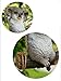 Agirlgle Animal Garden Statue - Cute Swing Koala Bear - Funny Outdoor Sculpture Ornaments Décor - Best Indoor Outdoor Figurines for Patio Yard Lawn House - Made of Resin