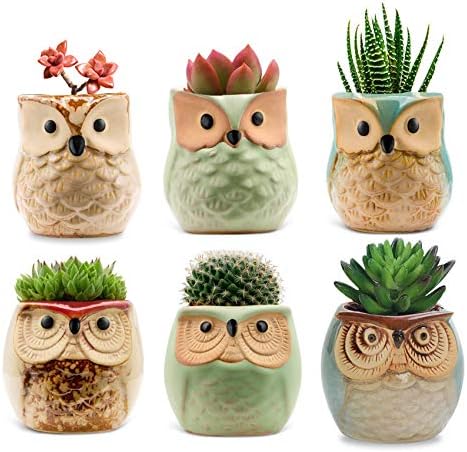 Owl Succulent Pots,Mini Ceramic Planter Pots,Small Flower Plant Cactus Bonsai Container 2.5 Inch with 12 T-Type Tags Markers (Owl Pots 6 Pack)