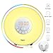 Wake Up Light 2017 Newest Version Wake-Up Light Colored Sunrise Alarm Clock with Smart Snooze Function, Nature Sounds, FM Radio - Touch Control with USB Charger