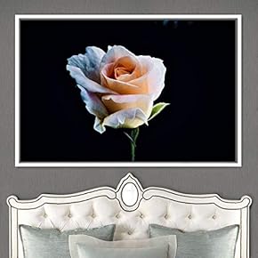 signwin Framed Canvas Wall Art Flora Snapshot Closeup...