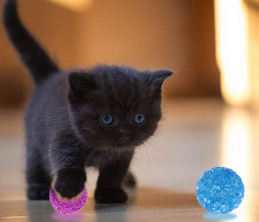 UHKZ Cat Toys Balls with Bells, The Best Cat Toys of Keeps Busy for Cat. Safe and Lightweight Give Your Cat Enjoy a Happy Hour, Pack of 12 : Pet Supplies